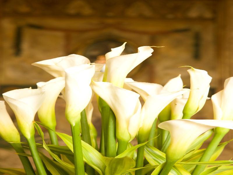 Hotel Boutique Mansion Del Rio Γκουαγιακίλ Εξωτερικό φωτογραφία